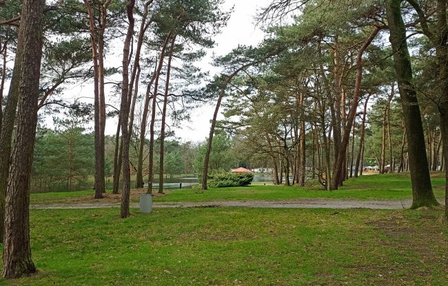 124 huisjes in de Boekelse bossen
