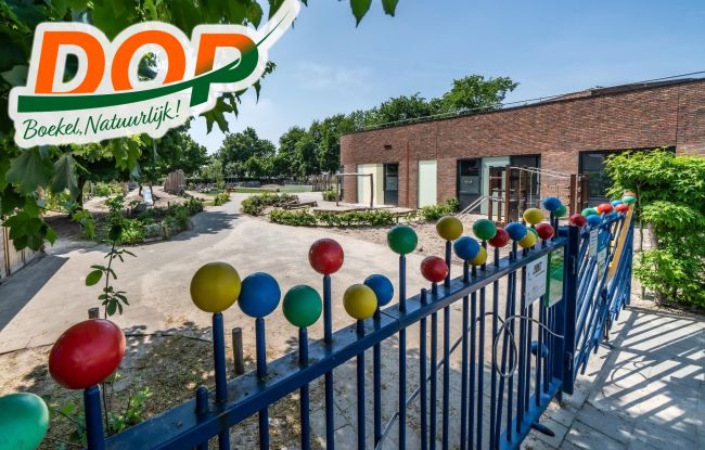 DOP: we pakken door met onderwijs